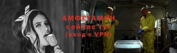 гидра Горнозаводск