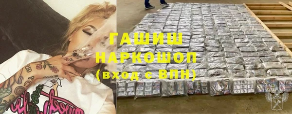 гидра Горнозаводск