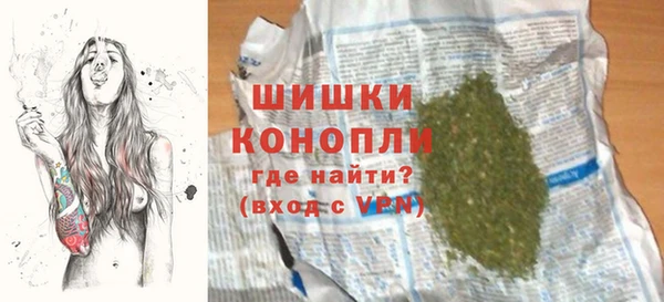 гидра Горнозаводск