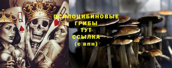 гидропоника Горно-Алтайск