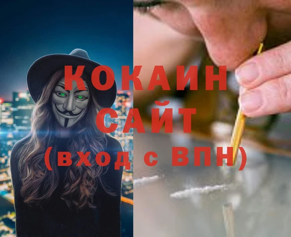 гидра Горнозаводск