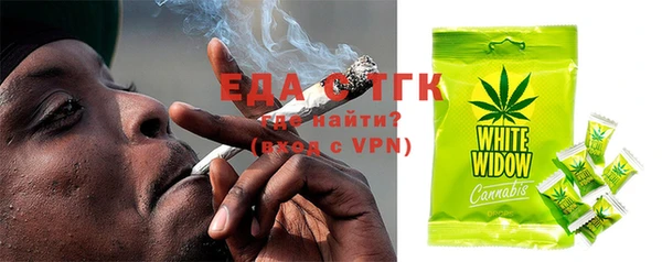 гидра Горнозаводск
