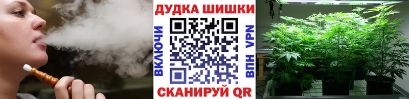 Купить закладки  Куртамыш  Бошки марихуана Bruce Banner 